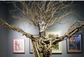 Exhibit Design